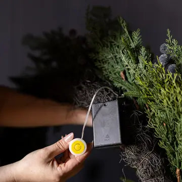 Heritage Frosted Navy Berry Norfolk Cypress Garland 6ft - LED Pre Lit - Arriving in Store October