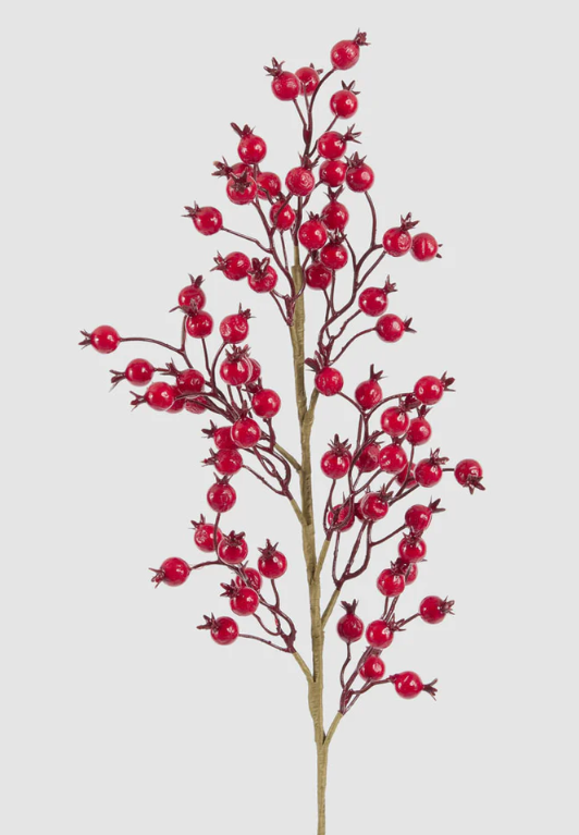 Gloss Berry Stem Red - Arriving in Store October