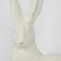 Harvey Hare Lying