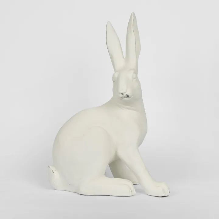 Harvey Hare Sitting