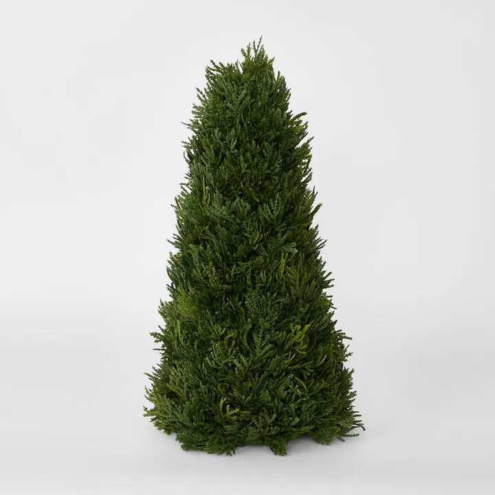 Cypress Cone Tree 43cm - September Drop