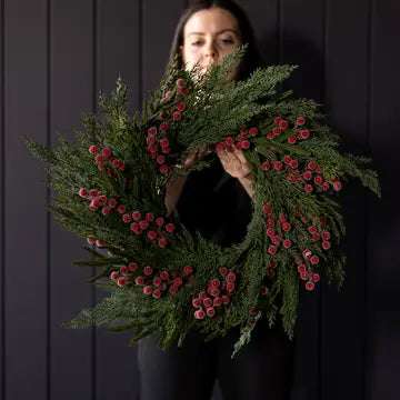 Heritage Frosted Red Berry Norfolk Cypress Wreath 24" - LED Pre Lit - Arriving in Store October