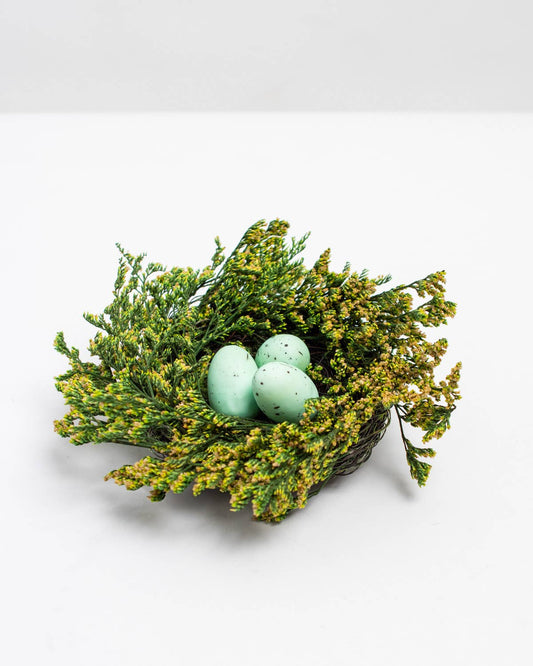 Robin Egg Nest - March Drop