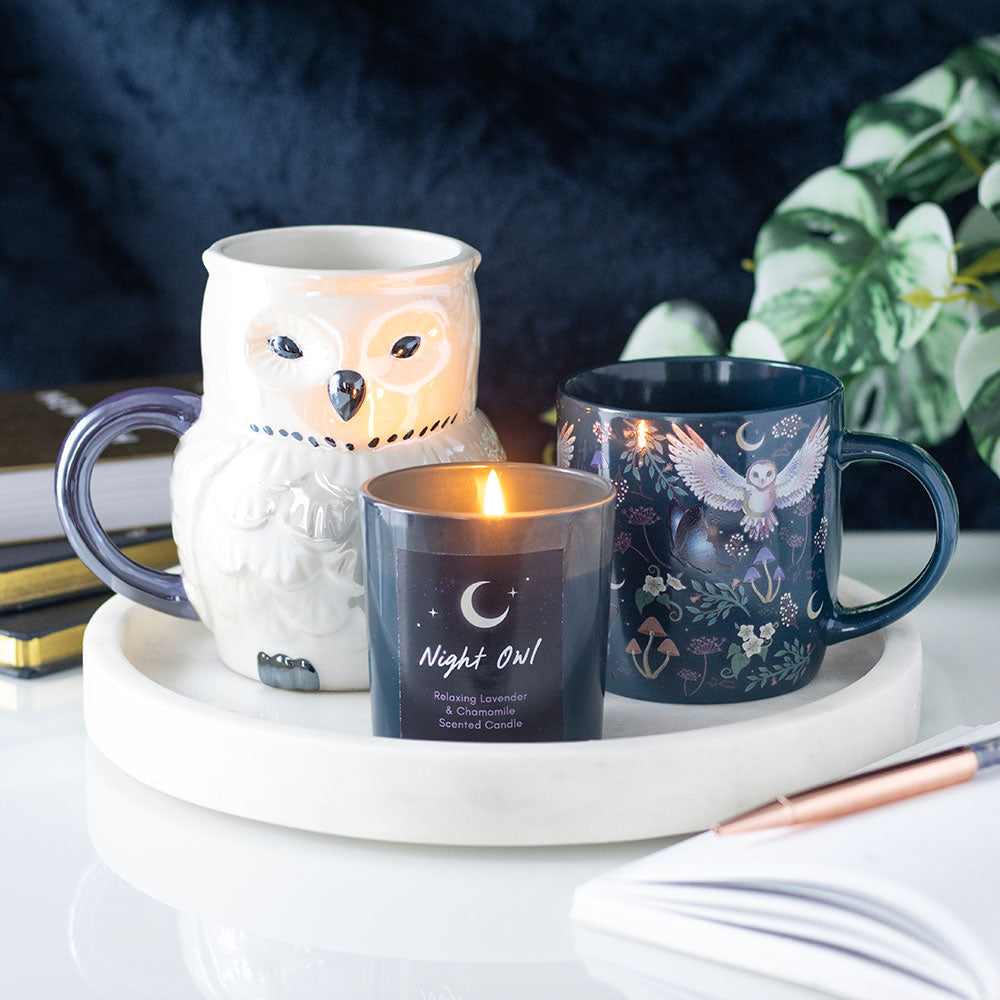Iridescent Owl Mug - June Drop