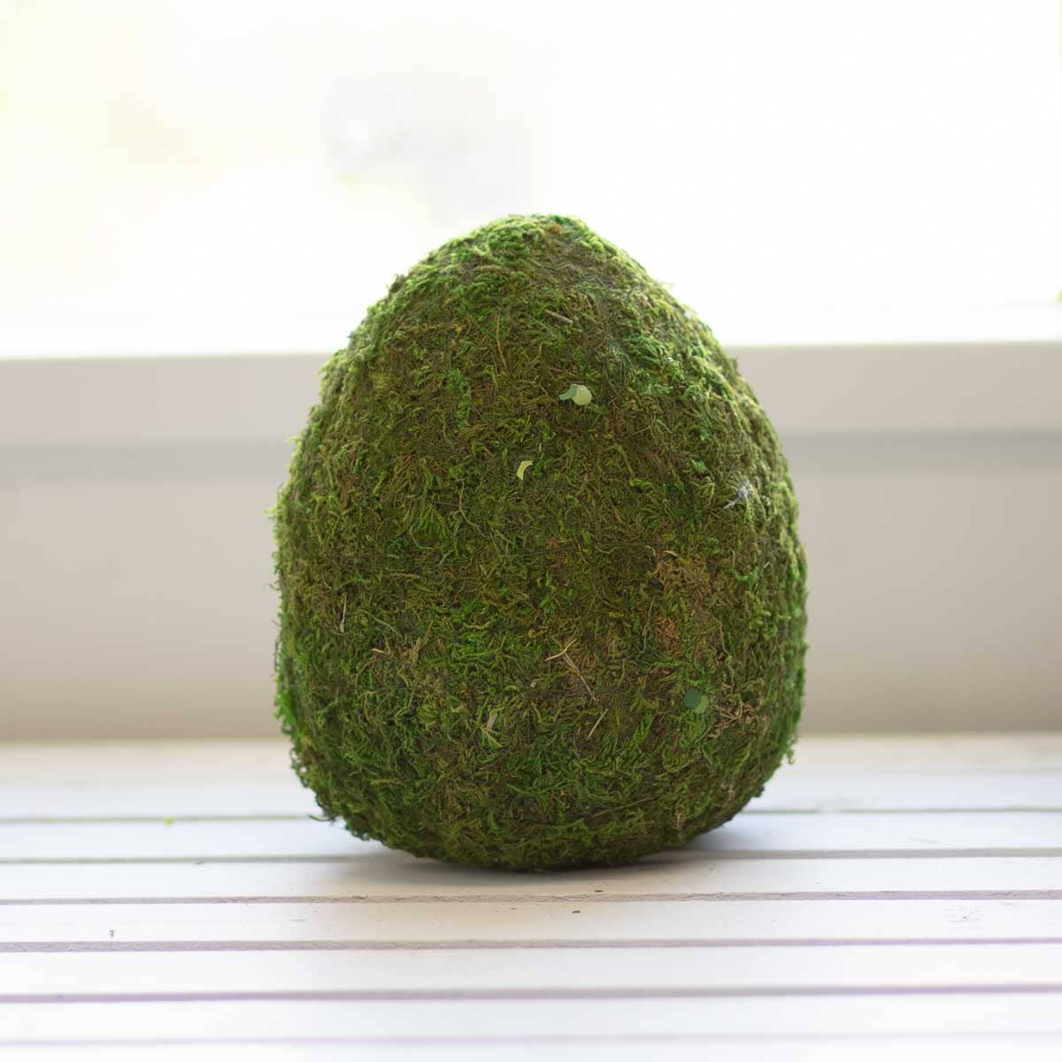 Moss Egg 8"