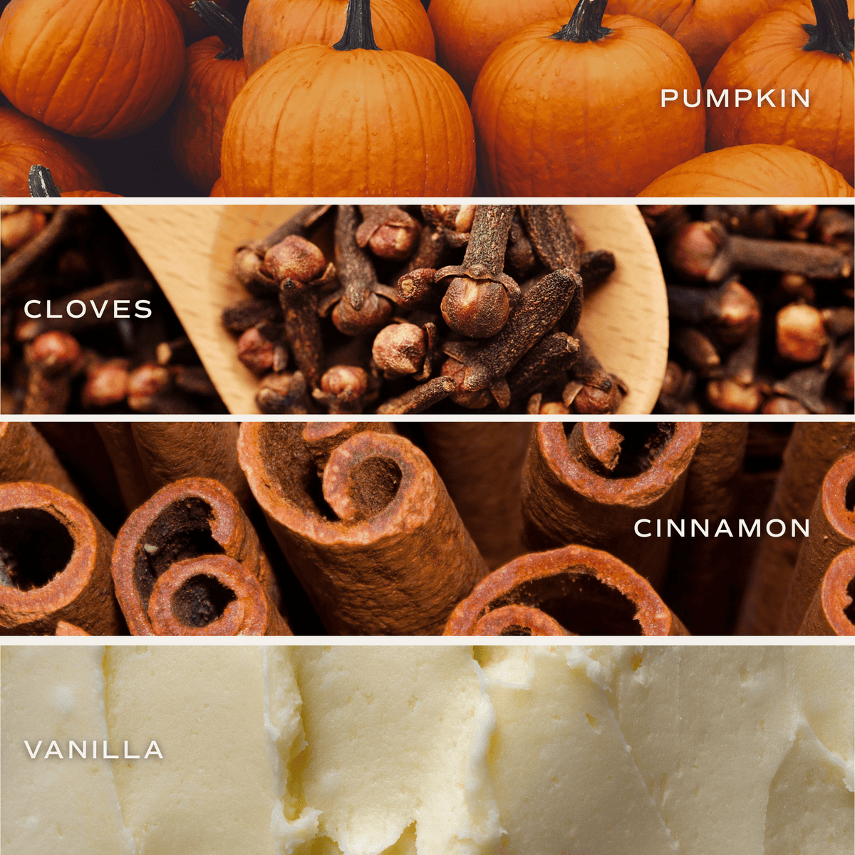 Pumpkin Spice Soy Candle 8 oz Pumpkin Jar - Arriving in Store Late October