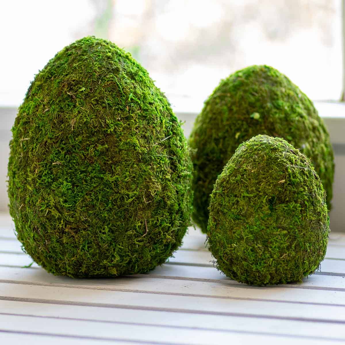 Moss Egg 10"