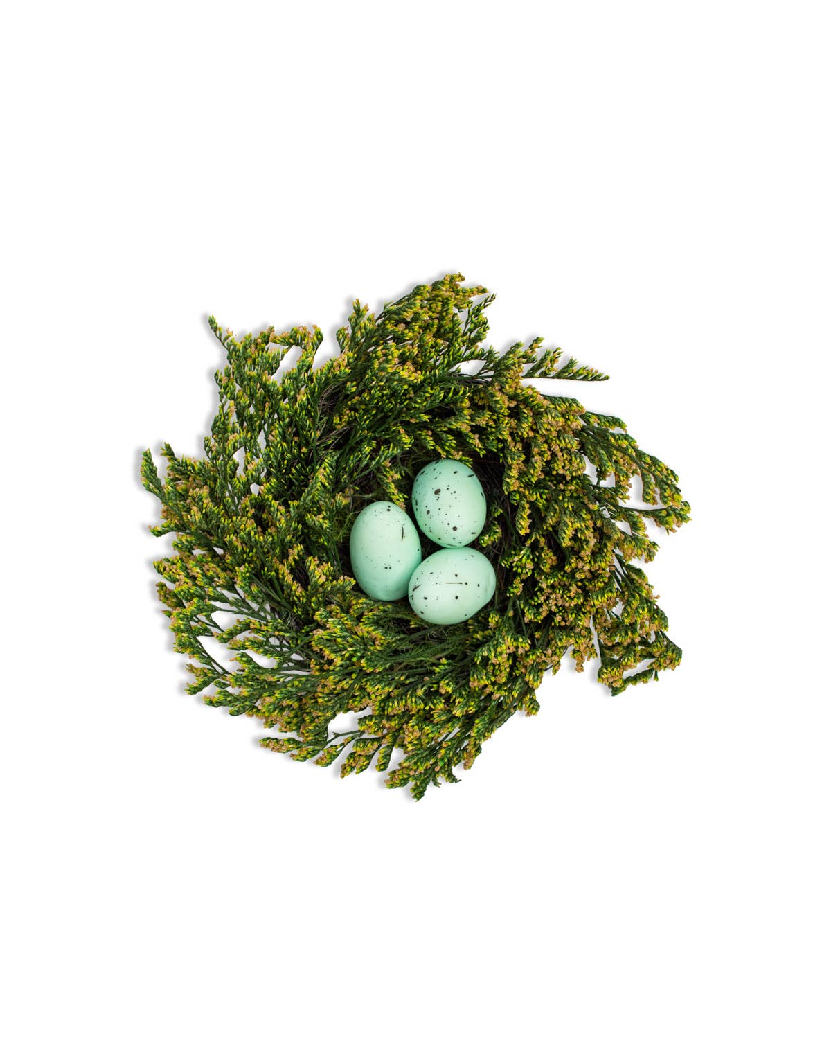 Robin Egg Nest - March Drop