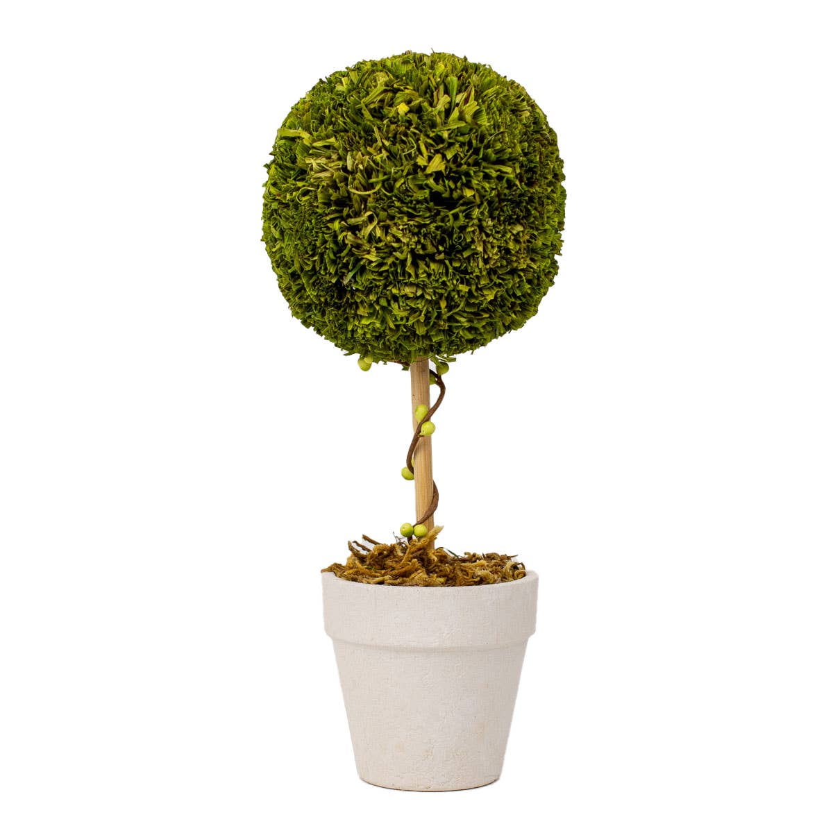 Boxwood Topiary