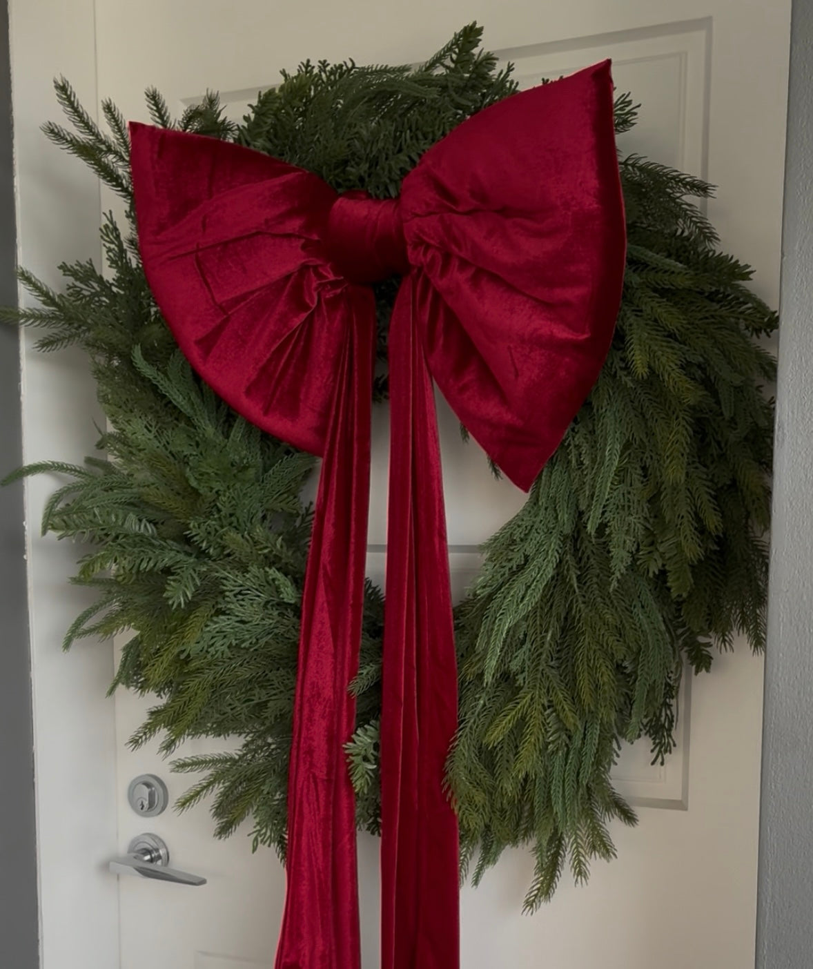Luxurious Cypress Wreath - 91cm - November Drop