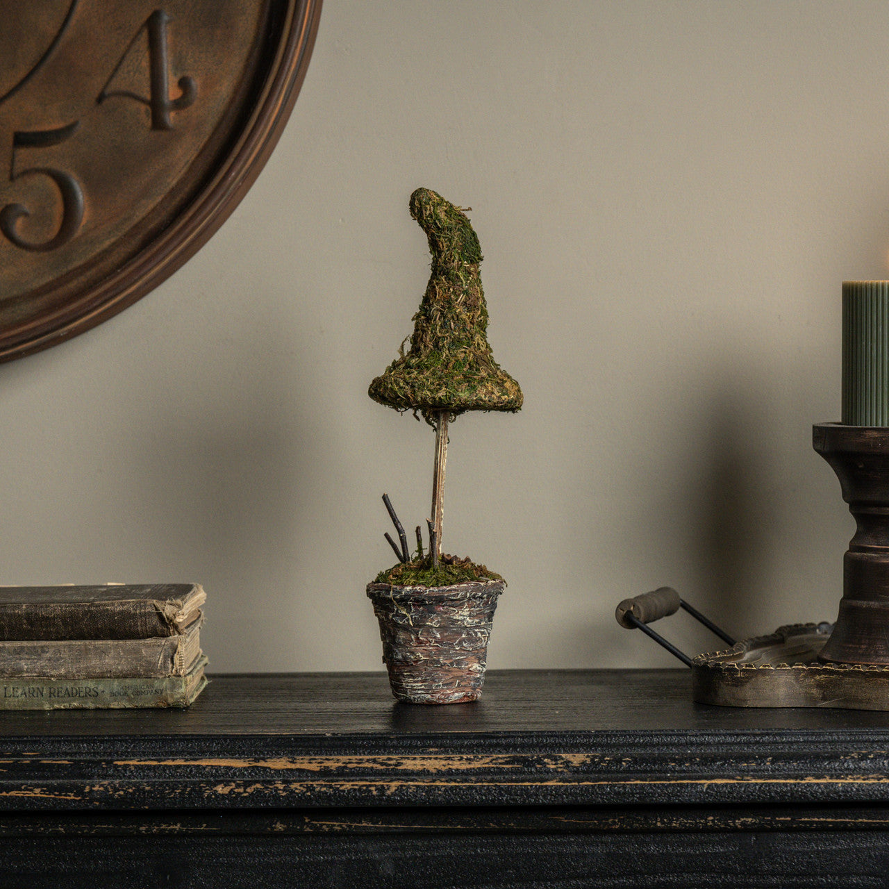 12" Potted Moss Witch's Hat - Arriving in Store September