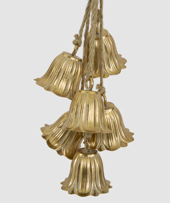 Golden Tulip Hanging Bell Bunch - Arriving in Store October