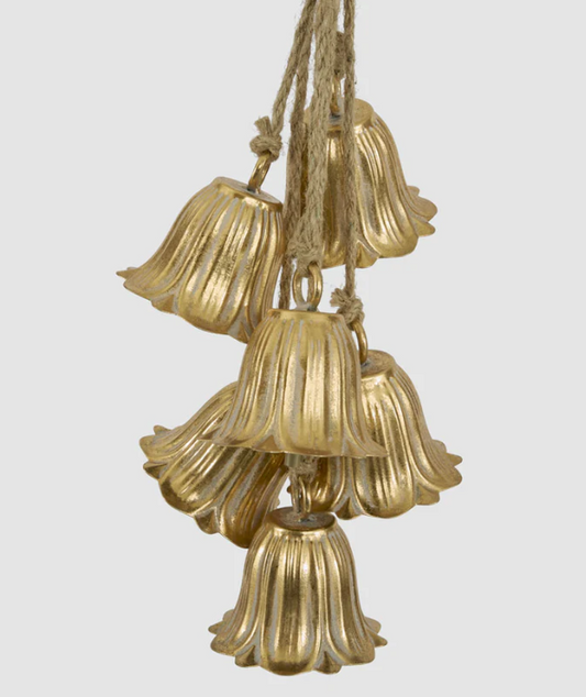 Golden Tulip Hanging Bell Bunch - Arriving in Store October