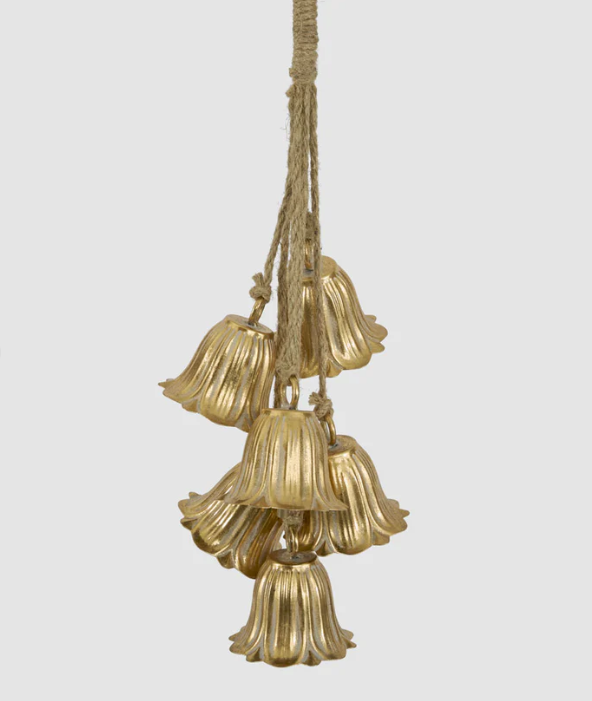 Golden Tulip Hanging Bell Bunch - Arriving in Store October