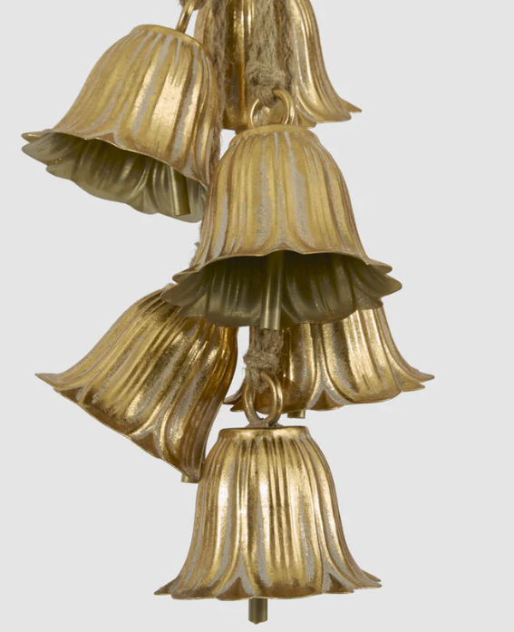 Golden Tulip Hanging Bell Bunch - Arriving in Store October