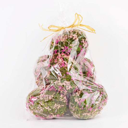 Eva Moss Eggs   Green/Pink   3x4.5 - February 2026 Drop