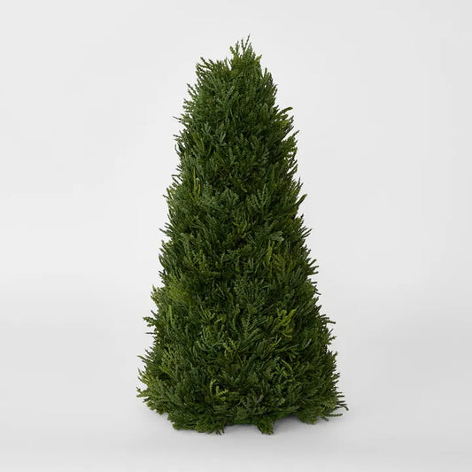 Cypress Cone Tree 43cm - September Drop (Copy)