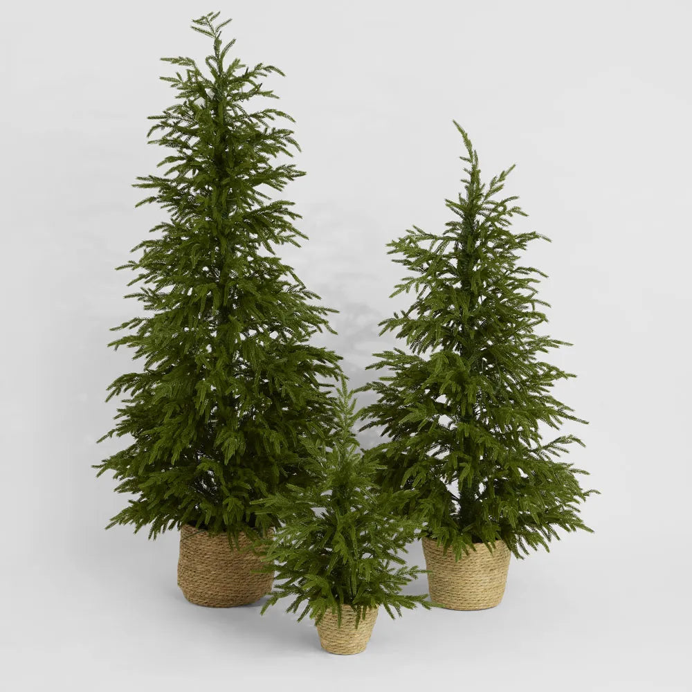 Soft-Touch Potted Light Up Tree with Basket - Arriving in Store October
