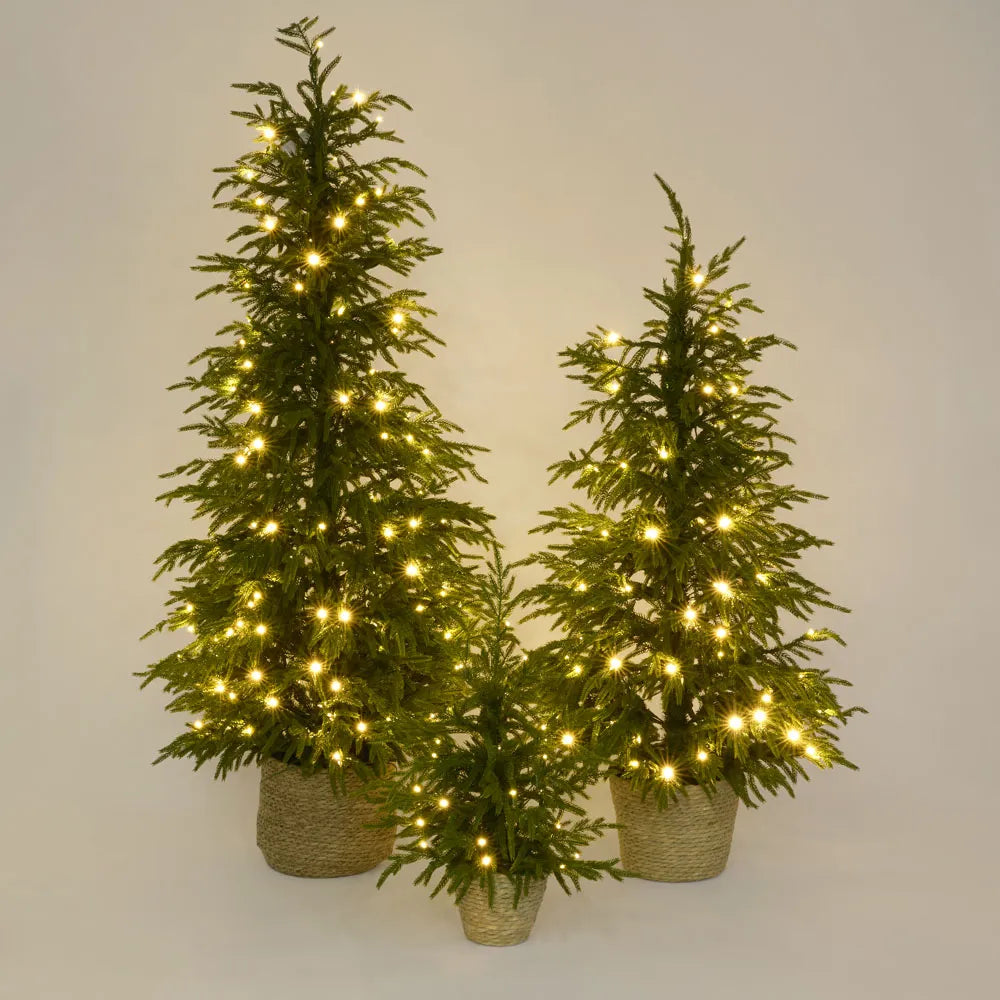 Soft-Touch Potted Light Up Tree with Basket - Arriving in Store October