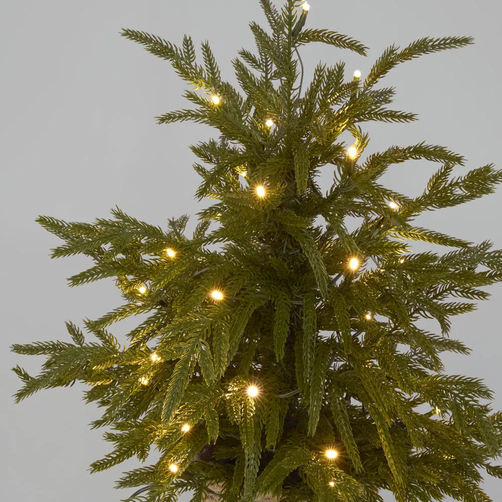 Soft-Touch Potted Light Up Tree with Basket - Arriving in Store October